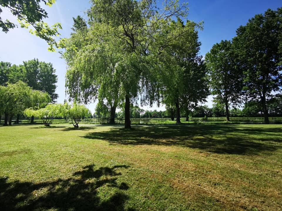 Отель L'Oasis Des Dombes Amberieux-en-Dombes Экстерьер фото