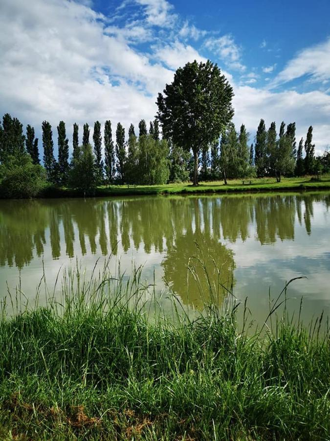 Отель L'Oasis Des Dombes Amberieux-en-Dombes Экстерьер фото